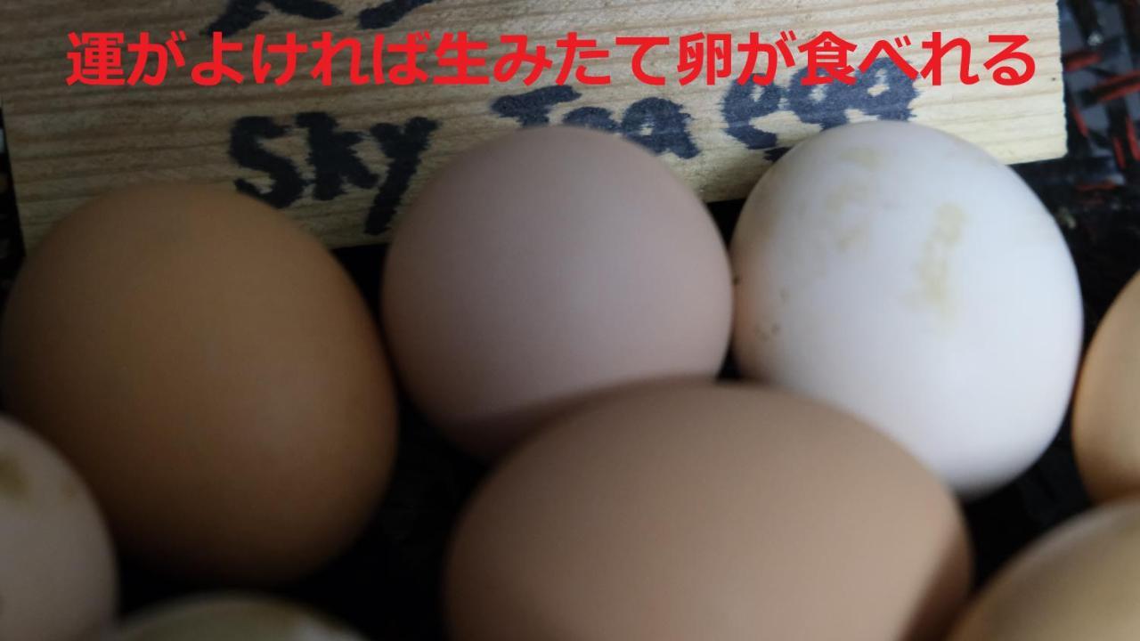 מלון Yame Sky Tea House מראה חיצוני תמונה